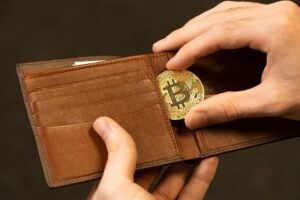 O Bitcoin, os bilionários e o professor de Geografia inteligente